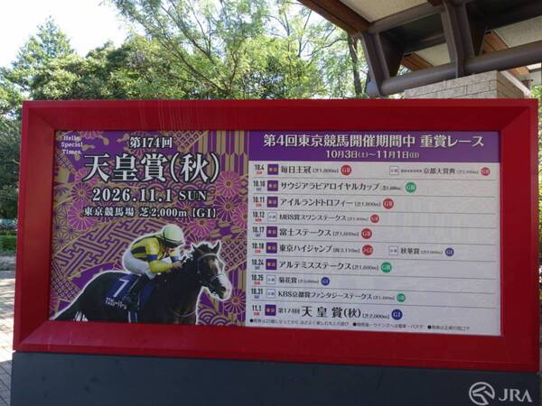 【グルメ・お酒・レース観戦も！】初心者でも楽しめる！　秋の東京競馬観戦レポート