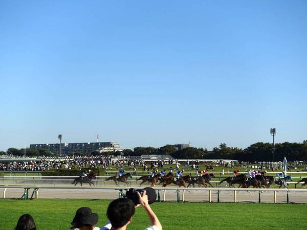 【グルメ・お酒・レース観戦も！】初心者でも楽しめる！　秋の東京競馬観戦レポート