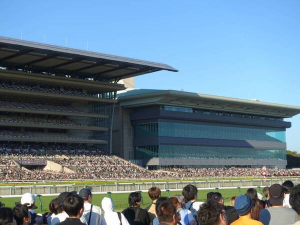 【グルメ・お酒・レース観戦も！】初心者でも楽しめる！　秋の東京競馬観戦レポート