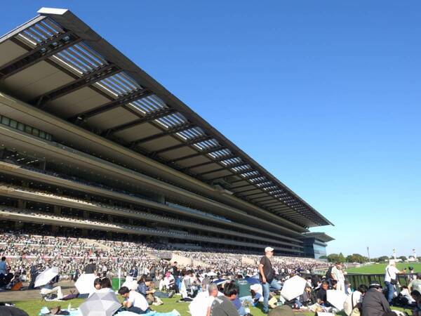 【グルメ・お酒・レース観戦も！】初心者でも楽しめる！　秋の東京競馬観戦レポート