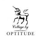 10周年を迎えた「OPTITUDE」青山店、9月15日にリニューアルオープン
