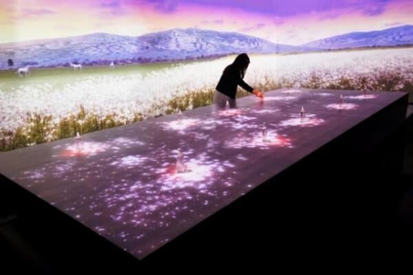 ロクシタン、サクラの開花のときめきを五感で楽しめる「体感型デジタルシアター」を期間限定で公開