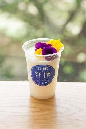 「カルピス＋発酵食品」オリジナルドリンクが、中目黒・二子玉川で期間限定販売