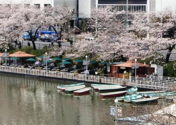 シャンドンロゼが桜に映える「お花見CHANDON」。中目黒・神楽坂に期間限定バー