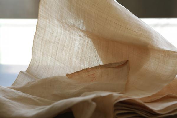 麻世妙、よみがえる大麻布～聖なる植物、大麻の歴史～【前編】