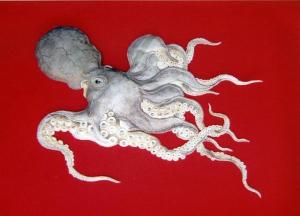 オートクチュール、祇園祭など彩る刺繍にフォーカス、世界各地の衣装集めた展覧会