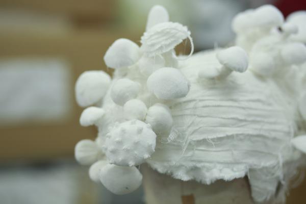 世界的ヘアメイクアーティスト加茂克也が手掛ける“未来の麻世妙”とは？--1/2【INTERVIEW】