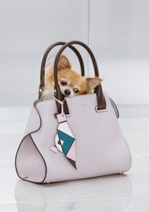 トッズ、ありのままに生きる自然な女性を映したケープ・バッグショートムービー