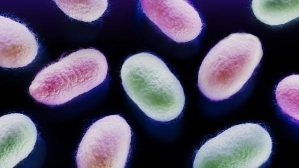 グッチ、スプツニ子！による「光るシルク」のアート展、ブランドのアイコン「フローラ」の未来を考える