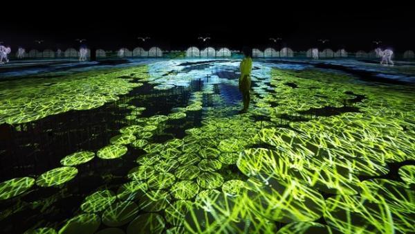 チームラボがミラノ万博に新作デジタルアートを出展。プロジェクションマッピングによる稲穂の海