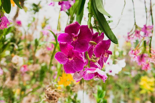 花のない世界では人類は滅びたと思う--チームラボ猪子寿之1/2【INTERVIEW】