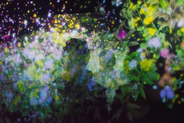 花と人は共に生きるんです--チームラボ猪子寿之2/2【INTERVIEW】