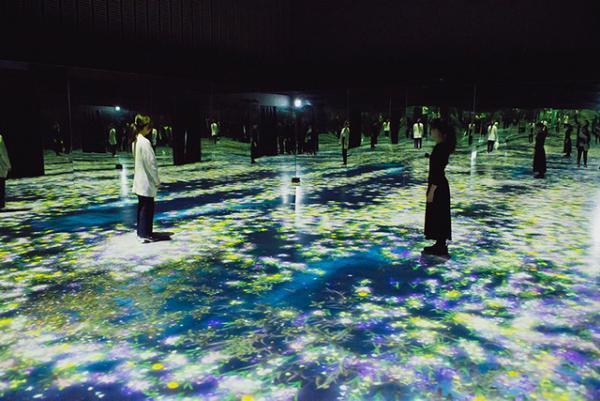 花と人は共に生きるんです--チームラボ猪子寿之2/2【INTERVIEW】