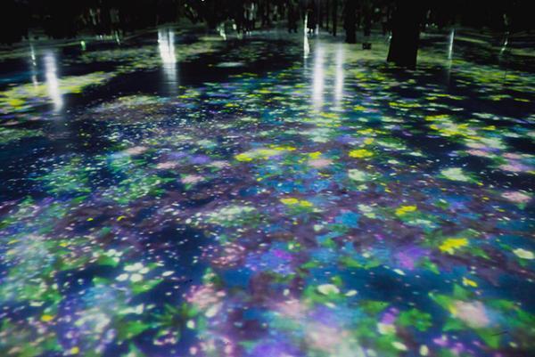 花と人は共に生きるんです--チームラボ猪子寿之2/2【INTERVIEW】