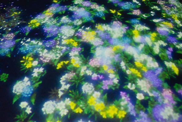 花と人は共に生きるんです--チームラボ猪子寿之2/2【INTERVIEW】