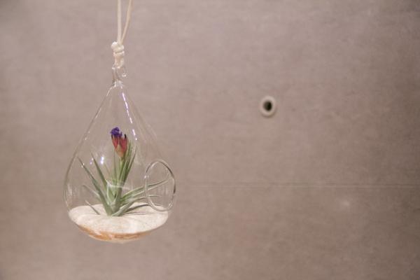 植物のある暮らしを贈る。「SOLSO HOME」が提案するボタニカルギフト