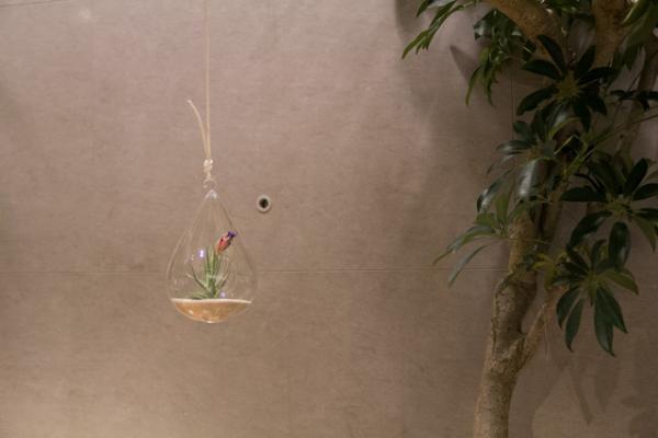 植物のある暮らしを贈る。「SOLSO HOME」が提案するボタニカルギフト