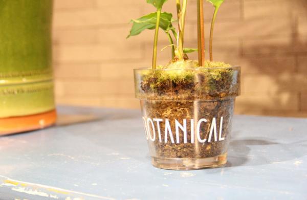 植物のある暮らしを贈る。「SOLSO HOME」が提案するボタニカルギフト