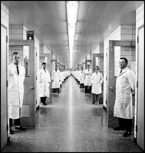 最先端科学用いたオーガニックコスメ「グロウン・アルケミスト」日本初上陸