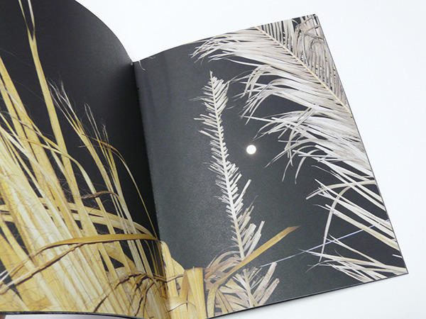 月夜に写した詩的な植物写真集【ShelfオススメBOOK】