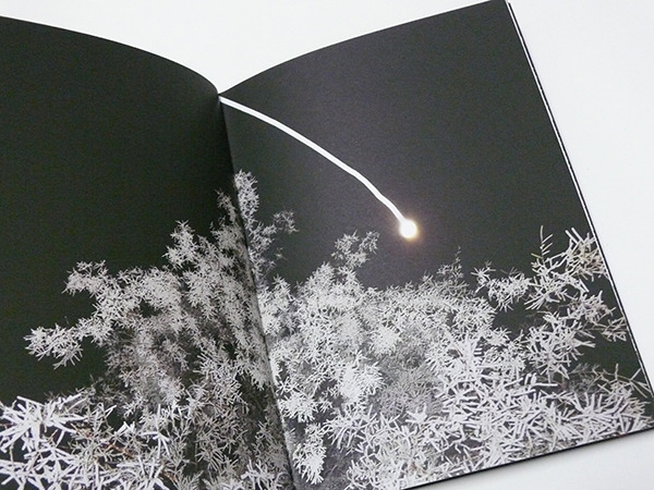 月夜に写した詩的な植物写真集【ShelfオススメBOOK】