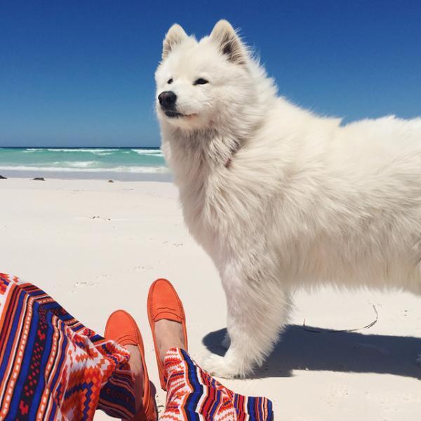 トッズ、ユーザー参加型デジタルギャラリー「ドッツ・オブ・ライフ」リニューアル