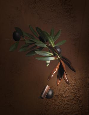 “チョコレート×野菜”の魅力をラ・メゾン・デュ・ショコラが探求