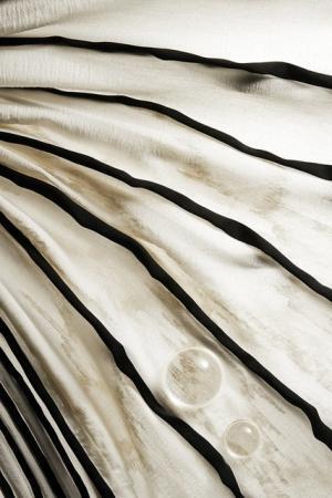 イッセイミヤケ「HaaT」、テキスタイルの魅力伝えるアーカイブ展が福岡に巡回