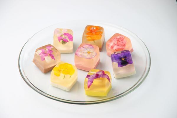 “食べられる花”を使ったフラワーババロア専門店 「花のババロア havaro」東京駅にオープン