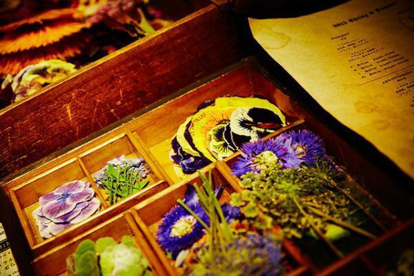 なぜ東信は新宿伊勢丹に花屋を出店したのか。世界に広げる“花の価値”