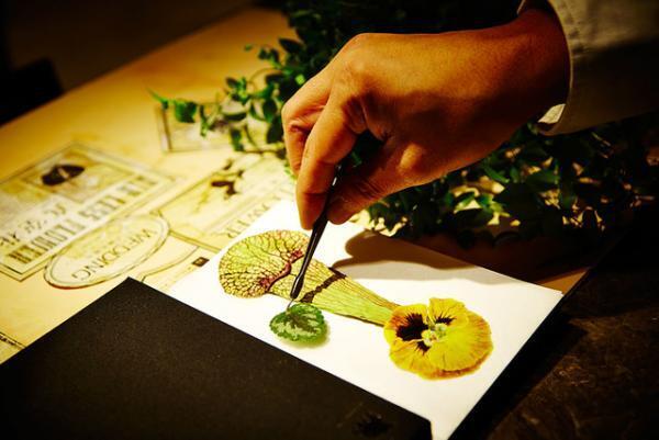 花の生き死に向き合う事。世界へ広がる、東信の“殺して生かす”フラワーアート