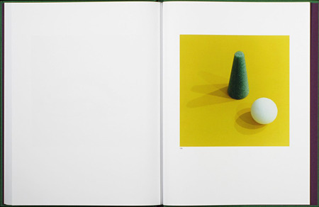 キノコがある日常…!?　ジェイソン・フルフォードの写真集【ShelfオススメBOOK】