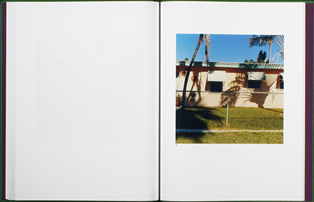 キノコがある日常…!?　ジェイソン・フルフォードの写真集【ShelfオススメBOOK】