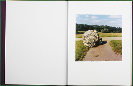 キノコがある日常…!?　ジェイソン・フルフォードの写真集【ShelfオススメBOOK】