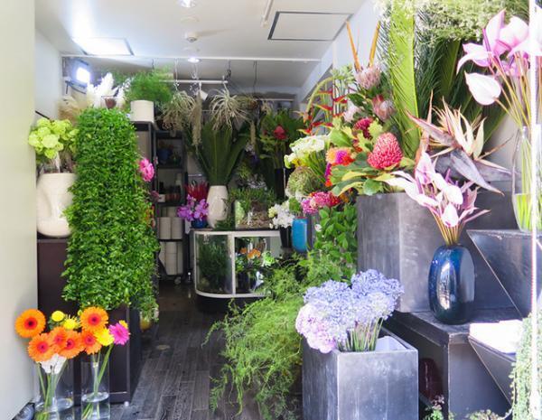 一輪でもインパクトのある花選び。南青山のフラワーショップ「logi」