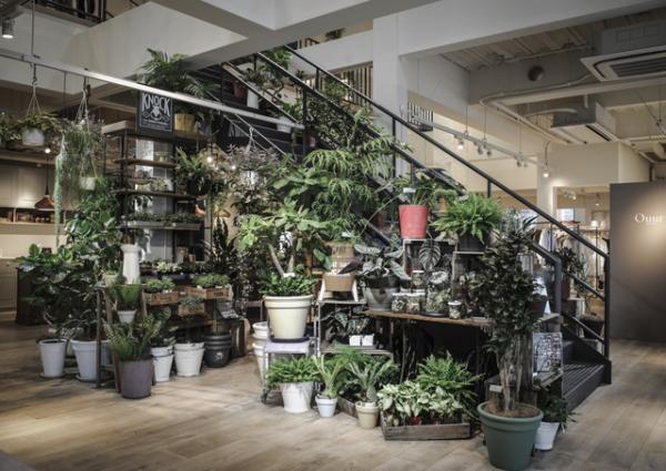 “フラワー＆グリーン”とストアデザインの接近。注目すべき商業施設の緑化現象1/2【COLUMN】