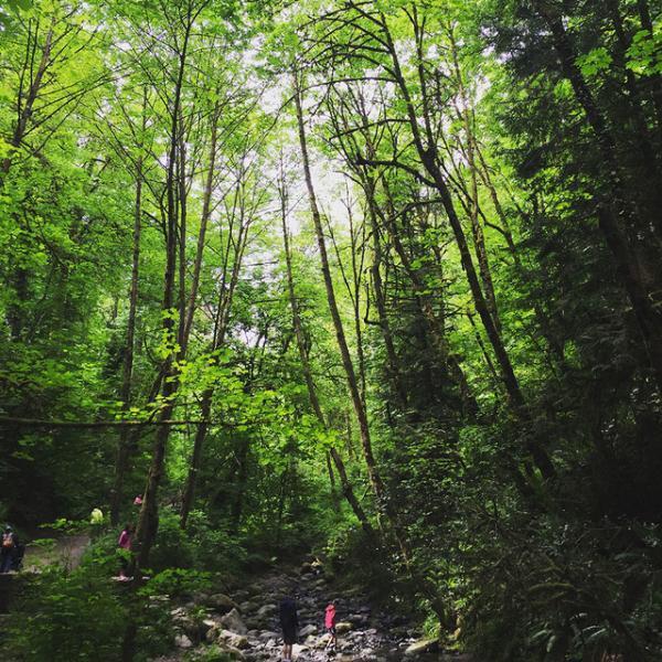 パンクなDIY精神と有機的な繋がりのあるライフスタイル--ポートランド滞在記vol.3【スタイリストブログ】