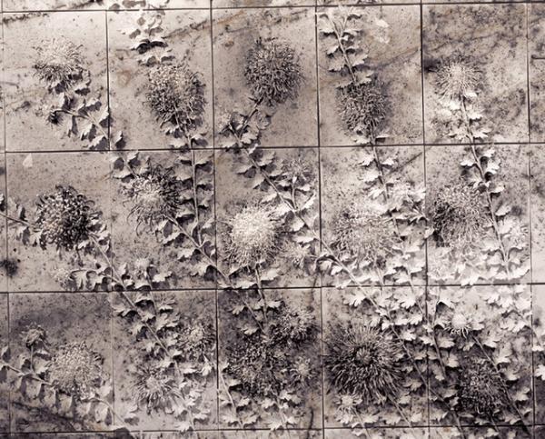 “爆発のアーティスト”蔡國強の国内7年ぶり大規模個展が横浜美術館で開催