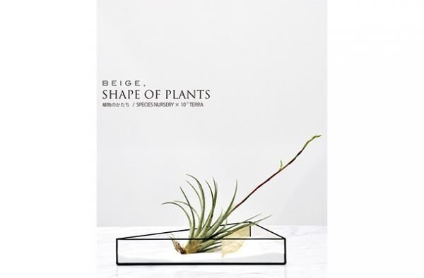 展示販売会「SHAPE OF PLANTS 植物のかたち」が開催