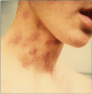 全米48州を旅した写真家マイク・ブロディーの記録【ShelfオススメBOOK】