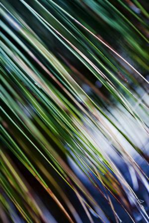 GINZA、SWITCHなどで活躍する若手写真家・小浪次郎の個展がBIOTOPで開催