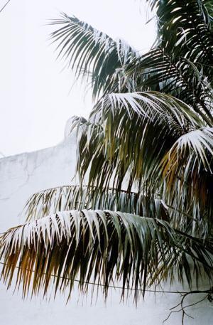 GINZA、SWITCHなどで活躍する若手写真家・小浪次郎の個展がBIOTOPで開催