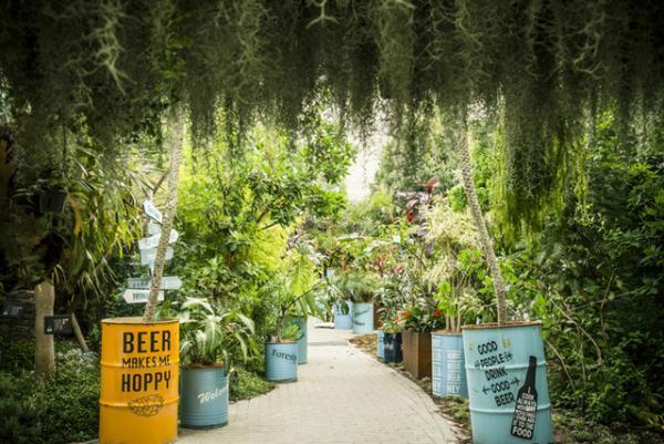 代々木VILLAGEに“森林浴体験型”ビアテラスがオープン。大沢伸一監修アコースティックライブも