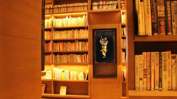 チームラボ新作は“光る鯉”が踊る。世界初の池の水面プロジェクションを展開