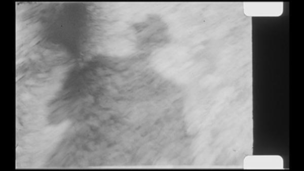 コルビュジエの写真家の顔に迫る、没後50年「写真家としてのル・コルビュジエ」展を開催