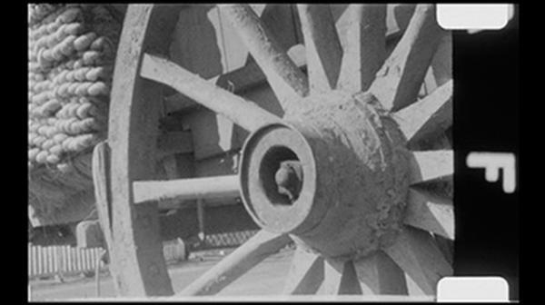 コルビュジエの写真家の顔に迫る、没後50年「写真家としてのル・コルビュジエ」展を開催