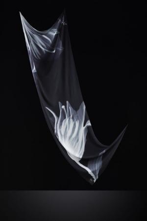 ヨウジヤマモト「ディスコード」と「レギュレーション」が15-16AWのポップアップ