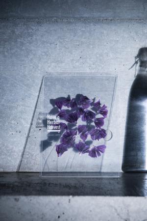 まるで押し花のようなハーブティー。目にも楽しく美味しい夏の新作を原宿「ロケット」でお披露目