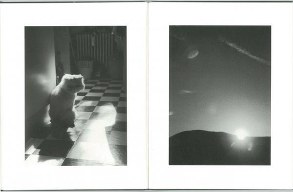 元芸者アーティスト花代の最新写真集【NADiffオススメBOOK】