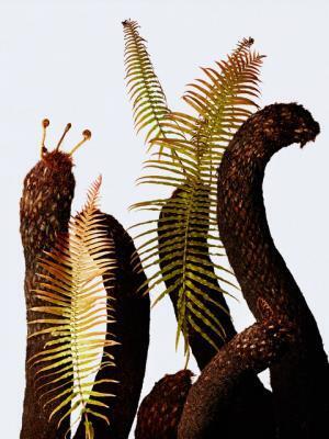 銀座に植物園が出現!?摩訶不思議な希少種を集めた「ウルトラ植物博覧会」開催